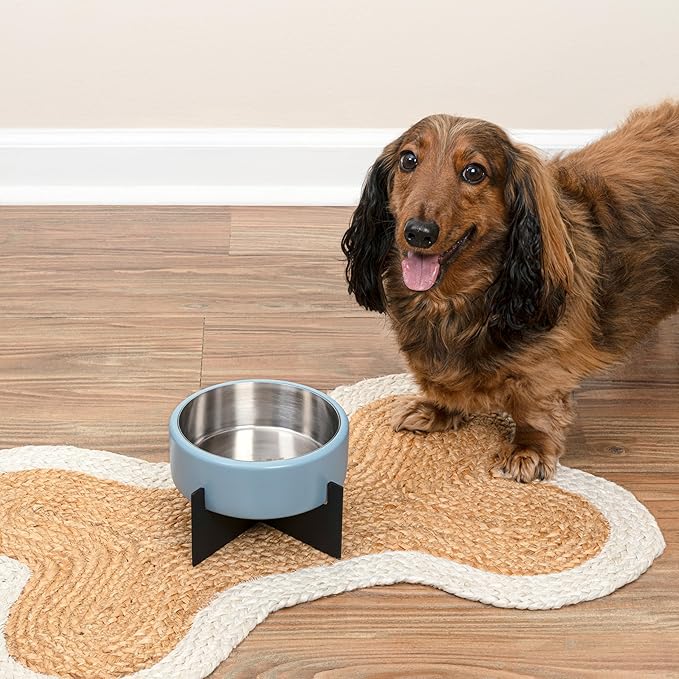 DBL3000F Intersecta Small/Medium Concrete and Stainless Steel Bowl 16oz (2 Cups) with Metal Stand Pet Feeder, Blue/Black