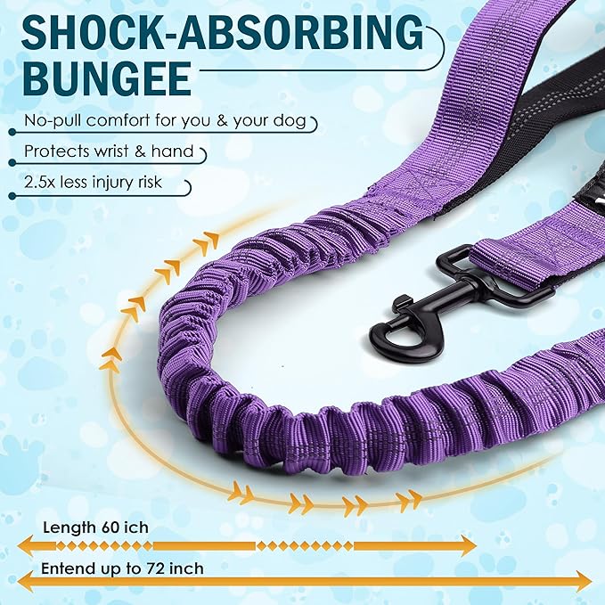 Hands Free Dog Leash for 2 Dogs – Waist Leash for Dog Walking with Dual Bungee, Reflective No Pull Design, Adjustable Belt & Pouch for Running, Hiking, Jogging