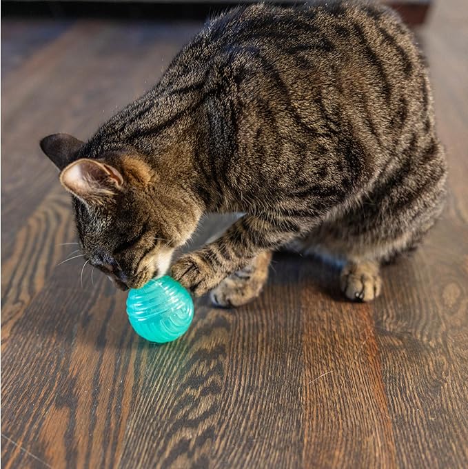Catstages Ball Treat Stuffer Cat Toy – Interactive Treat Dispensing Ball for Cats, Mental Stimulation & Physical Exercise, Soft & Durable, Green