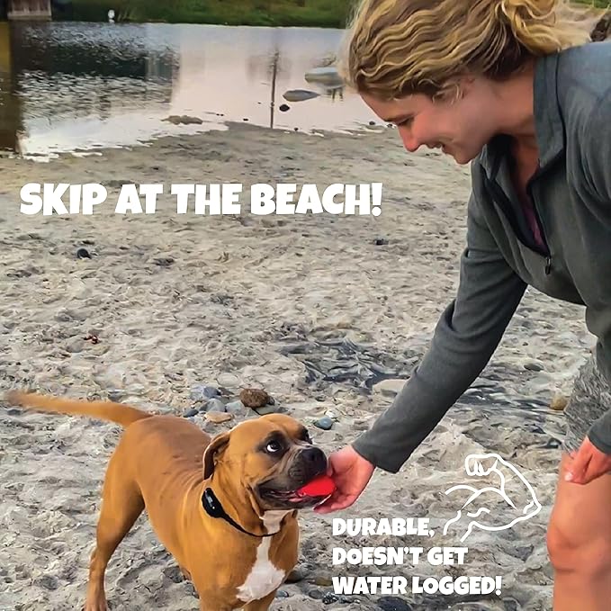 Skip NN' Fetch Small/Medium Floating Dog Toys Qty 2 | Stone Skipping Meets Fetch | Fun for Swimming Pool, Lake, Beach, and Land | Perfect Floating Water Toys for Small/Medium Dogs |