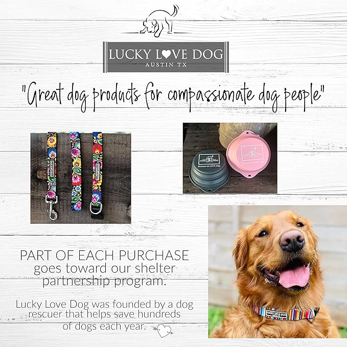 Lucky Love Dog Wide Martingale Dog Collar - No-Slip, Durable, & Soft Webbing 1.5 inch Martingale Collar for Dogs Male and Female Ideal for Training & Walking - Murphy, X-Large