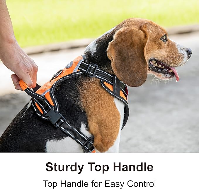 No Pull Dog Harness, Reflective Walking Dog Harness with Easy Control Handle and Front & Back Clips,Adjustable Breathable Soft Padded Dog Vest Harness for Large Medium Small Dogs,Orange,M