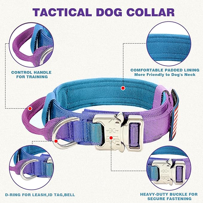 Tactical Nylon Dog Collar - Heavy Duty Metal Buckle with Handle for Dog Training, with Patches (Gradient 1, L)