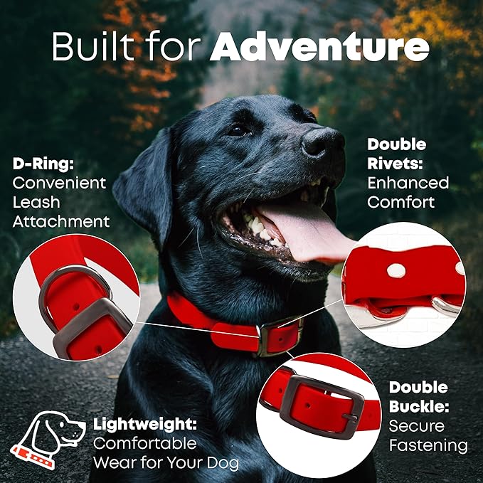 Regal Dog Products Medium Red with Custom Engraved Waterproof Dog Collar and Leash Set | Waterproof Dog Collar with Double Buckle & D Ring - 5'ft Leash | Matching Dog Collar and Leash for Dogs