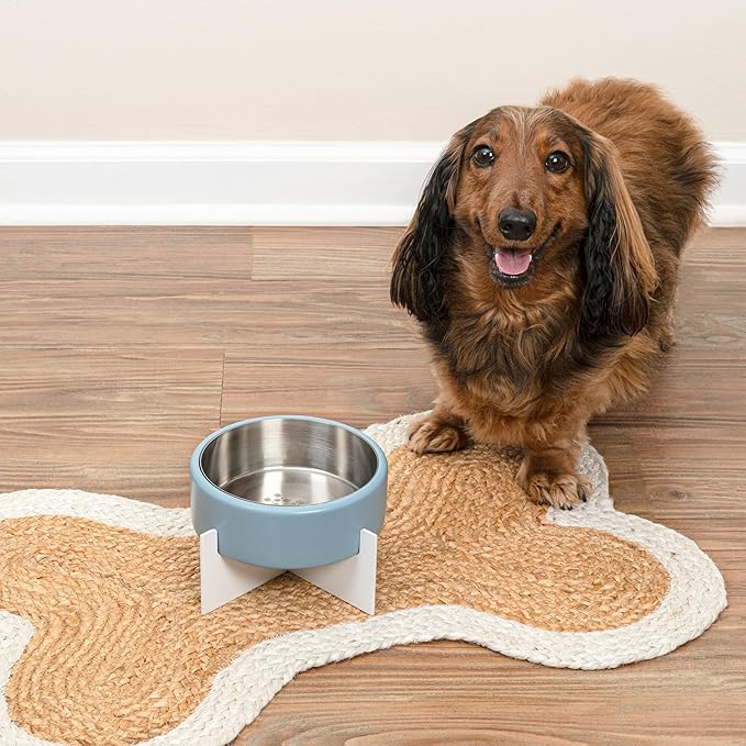 DBL3000C Intersecta Small/Medium Concrete and Stainless Steel Bowl 16oz (2 Cups) with Metal Stand Pet Feeder, Blue/White