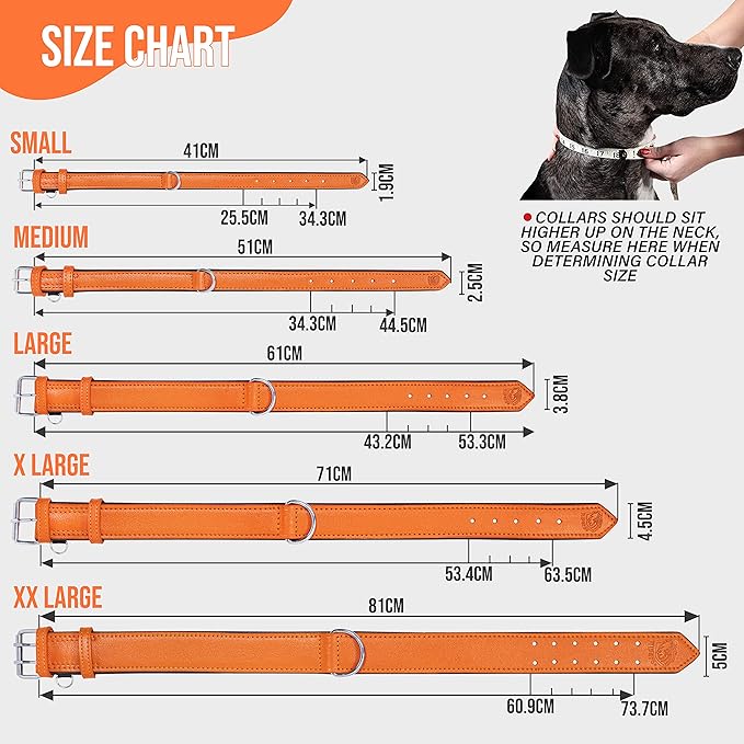 Riparo Orange Dog Collar, Leather Dog Collar with Dog Tag Holder, Small Dog Collar for Small Dogs (S: 0.75” Wide for 10”-13.5” Neck, Orange)