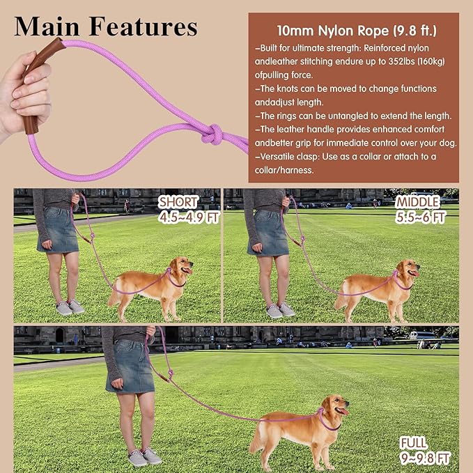 Tails & Tales Hands Free Dog Leash for Walking Running Training, Adjustable Lead Up to 9.8ft, Dogs Up to 125lbs, Crossbody, Dual Handle, Multifunctional, Double Attachment for 2 Dogs (Opera Mauve)