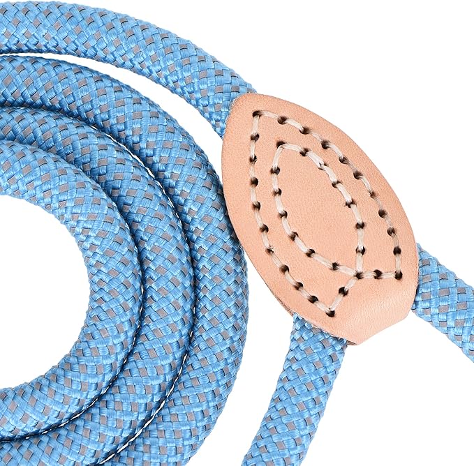 Mile High Life Reflective Dog Leash - Heavy Duty Nylon Rope Leash for Small to Large Dogs, Climbing Rope with Leather Tip (Green, 60 Inch)