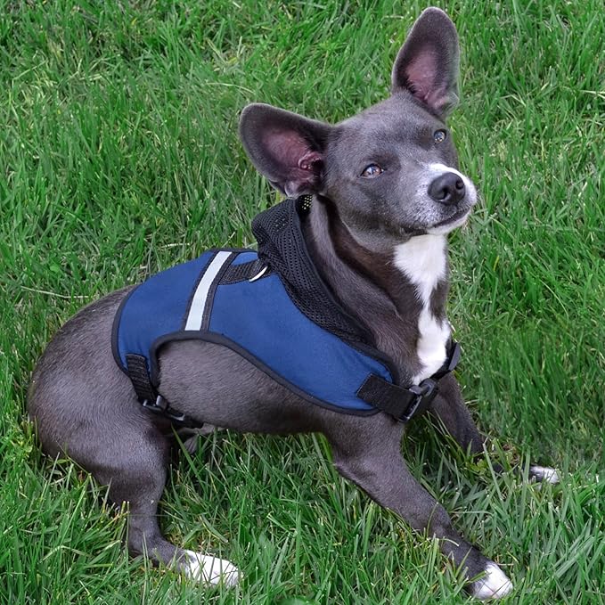 Pets First Atlanta Falcons Harness, Large