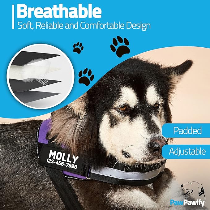PawPawify Personalized No Pull Dog Harness with 2 Custom Name & Phone Patches, Reflective Breathable Pet Vest for Walking Training, Adjustable Heavy Duty Service Dog Vest for Small Medium Large Dogs