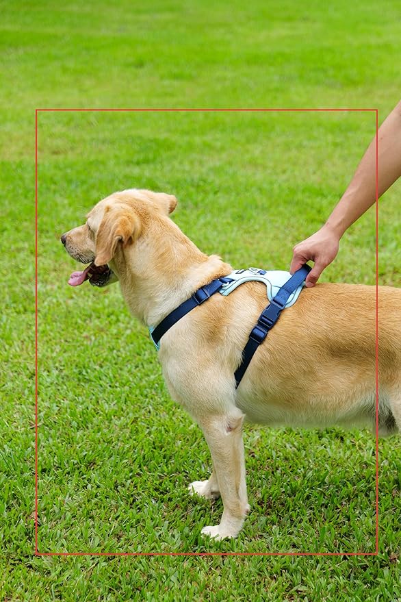No Pull Dog Harness Leash and Collar Set, Soft Adjustable Dogs Vest Reflective and Comfortable Handle Blue X-Large