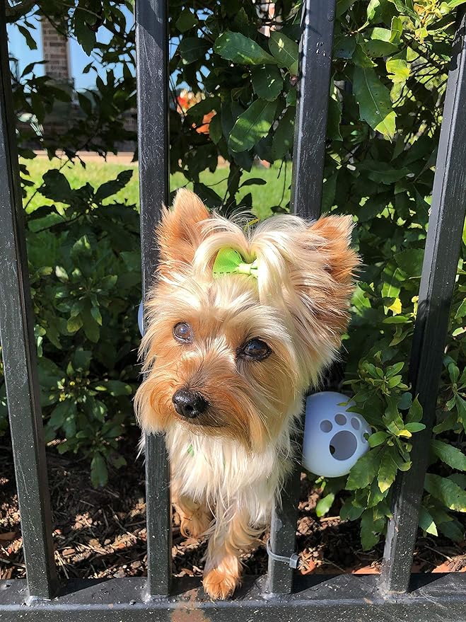 FenceMate Dog Harness to Keep Your Pets On The Safe Side of The Fence-Dog Safety Harness (Small) Fits Chest 12"-16" (Measure Girth Before Ordering) Improved No Escape Dog Harness