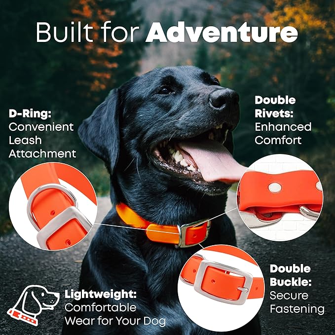 Regal Dog Products Small Orange Waterproof Dog Collars with Custom Engraved Name Plate | Vinyl Coated, Anti, Easy to Clean Personalized Biothane Dog Collar - Other Sizes for Medium & Large Dogs