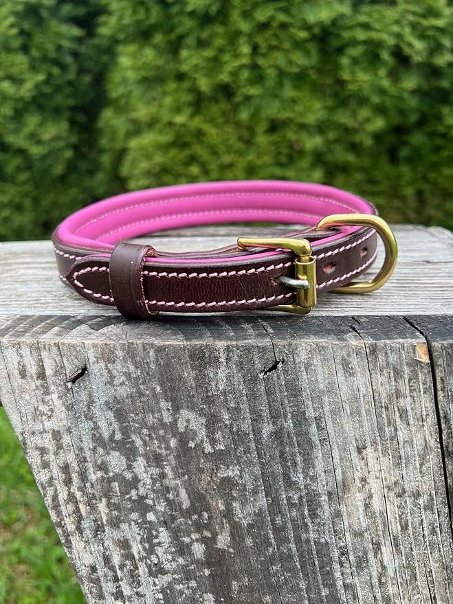 Leaders Leather Dog Collar with Customized Name Plate (Pink/Brown Medium (12"-15"))