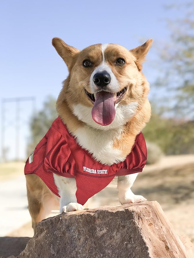 NCAA College Florida State University Mesh Jersey for Dogs & Cats, Large. Licensed Big Dog Jersey with Your Favorite Football/Basketball College Team (Pack of 2)