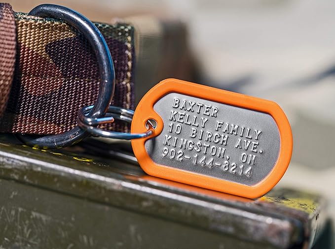 Dog Tags for Dogs, Custom Dog Collar ID Tag Personalized for Pets - Super Tough, Quiet Embossed Military Style Stainless Steel Dog Name tag (Orange)