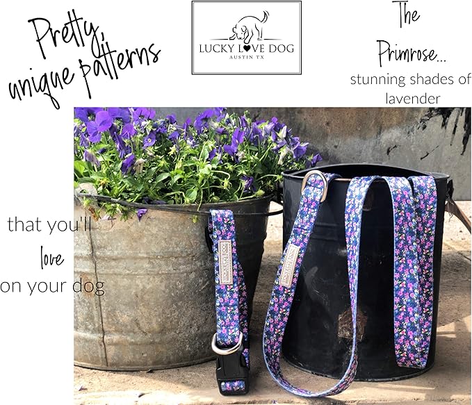 Lucky Love Dog Leash, Vivid Floral Dog Leash for Large Female Dogs, Durable & Long Lasting (Primrose, Large)