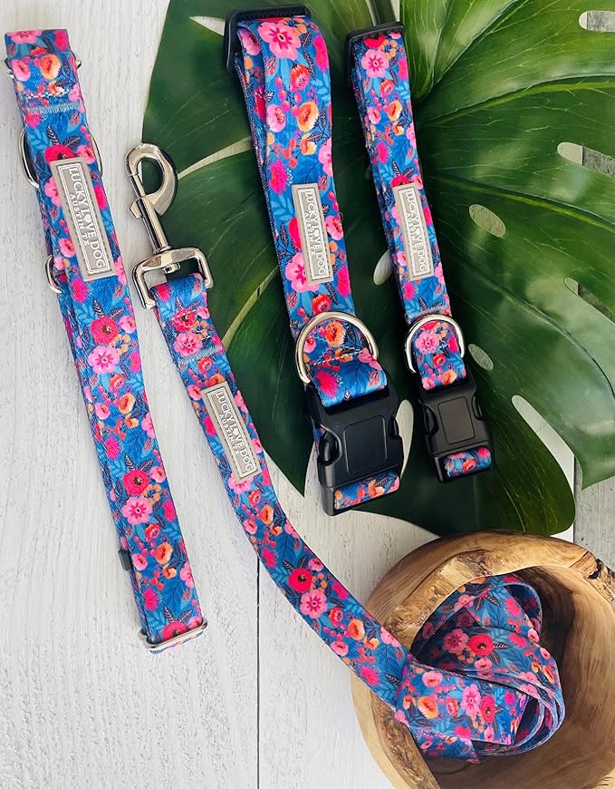 Lucky Love Dog Wide Dog Collar - Adjustable, Durable, Soft Webbing, & Comfortable 1.5 inch Wide Collar for Dogs Male and Female with Strong Buckle - Zuzu, X-Large