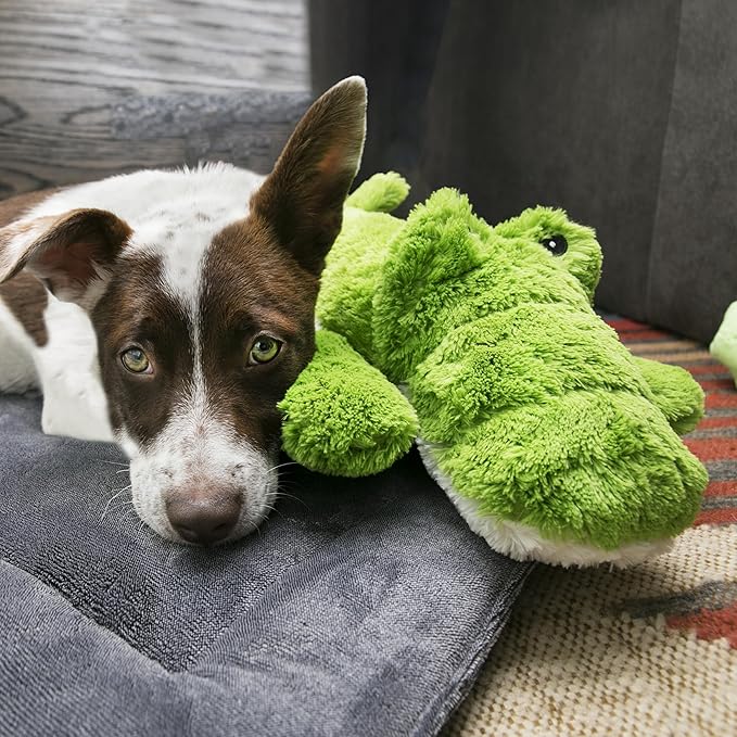 KONG XL 2 Pack - Soft Plush Dog Toy for Large Breeds - Durable, Cuddly & Squeaky - Perfect for Play & Comfort (Alligator/Fox)