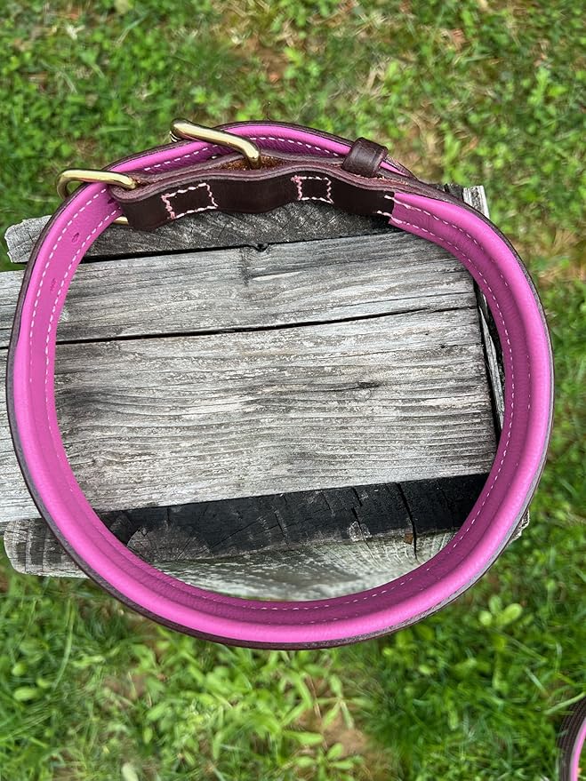 Leaders Leather Dog Collar with Customized Name Plate (Pink/Brown Large (18"-22"))