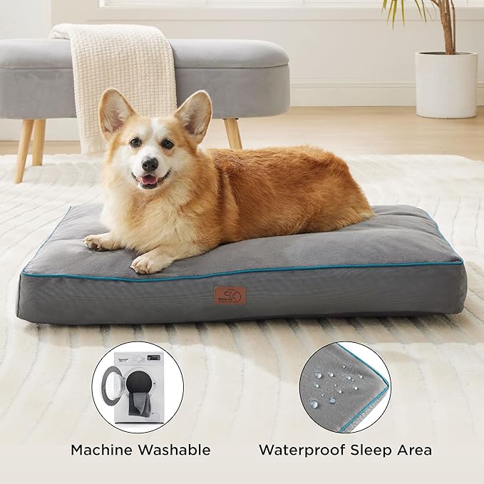 Bedsure XL Washable Dog Bed - 3 Inch Thicken Up to 100lbs Pet Mat Pillows with Removable Washable Cover, Green