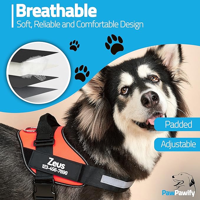 PawPawify Personalized No Pull Dog Harness with 2 Custom Name & Phone Patches, Reflective Breathable Pet Vest for Walking Training, Adjustable Heavy Duty Service Dog Vest for Small Medium Large Dogs