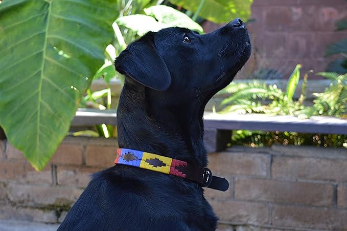 Gaucho Goods Soft Leather Dog Collar - Yosemite (S)