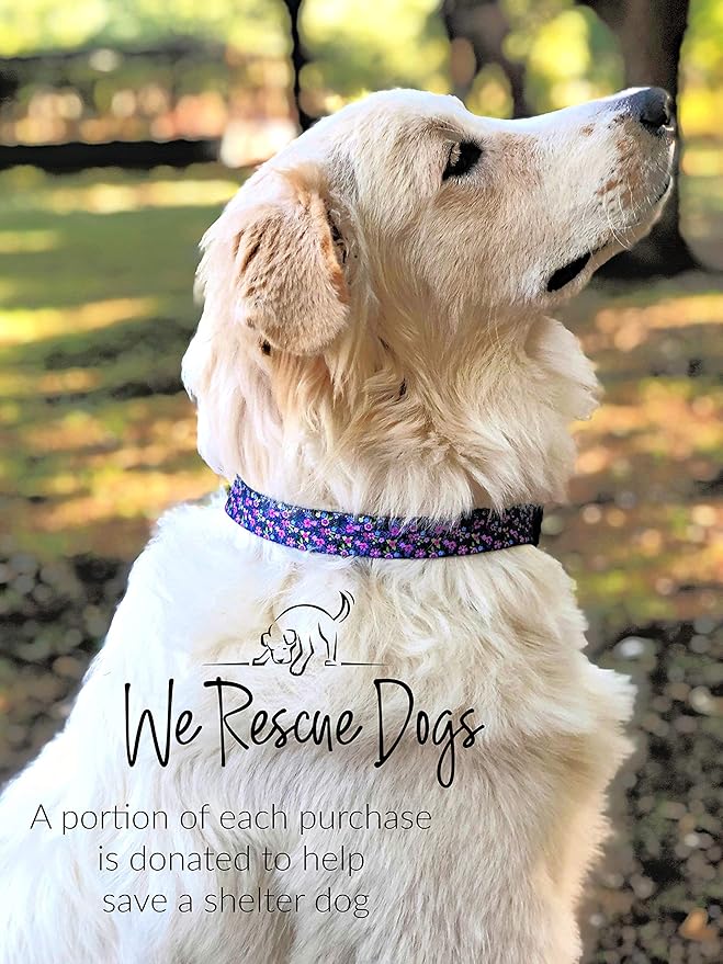 Lucky Love Dog Leash, Vivid Floral Dog Leash for Large Female Dogs, Durable & Long Lasting (Primrose, Large)