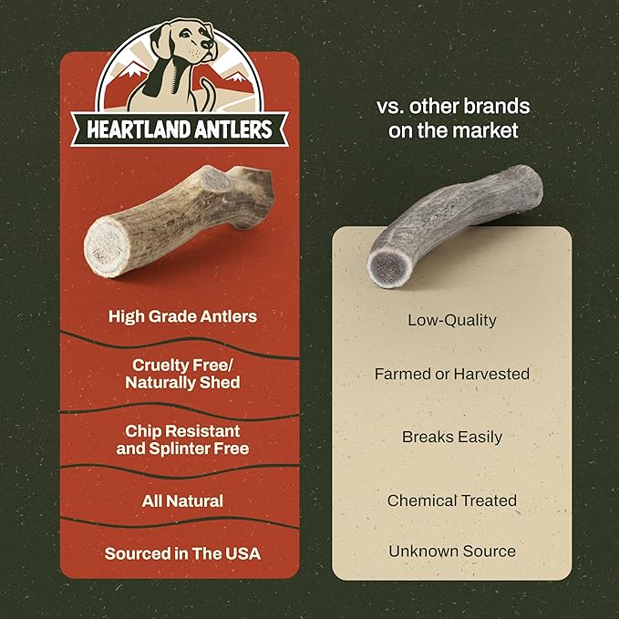 Heartland Elk Antlers for Dogs - Daily Dental Chews for Small Breed Aggressive Chewers to Promote Healthy Teeth & Prevent Destructive Behavior (Whole Elk, 4-5", 2-Pack, USA Made)