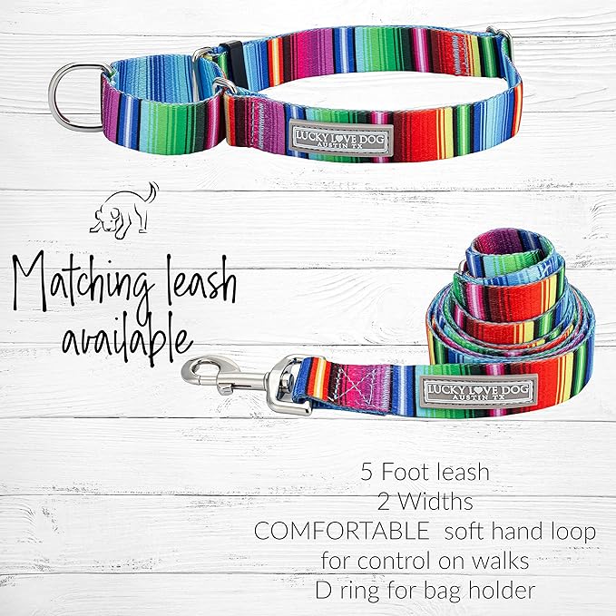 Lucky Love Dog Martingale Dog Collar - Adjustable, No-Slip, Durable, & Soft Webbing Collar for Male and Female Dogs Ideal for Training & Walking - Nacho, Large