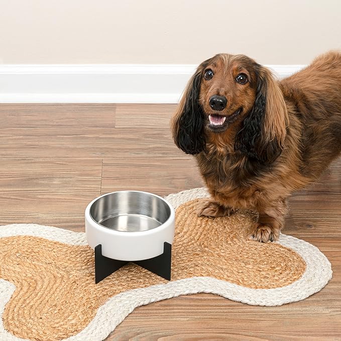 DBL3000E Intersecta Small/Medium Concrete and Stainless Steel Bowl 16oz (2 Cups) with Metal Stand Pet Feeder, White/Black