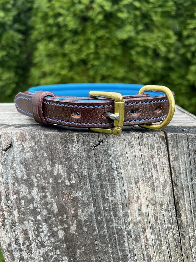 Leaders Leather Dog Collar with Customized Name Plate (Royal Blue/Brown Medium (12"-15"))