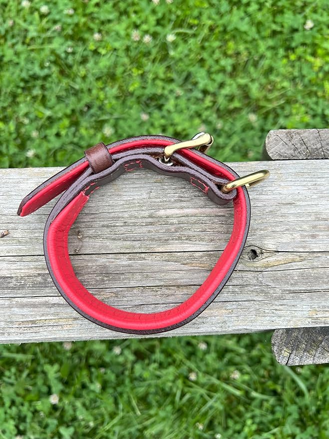 Leaders Leather Dog Collar with Customized Name Plate (Red/Brown Small (9"-12"))
