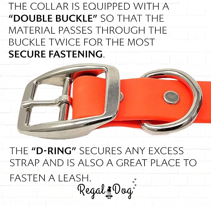 Regal Dog Products Large Orange with Custom Engraved Waterproof Dog Collar and Leash Set | Waterproof Dog Collar with Double Buckle & D Ring - 5'ft Leash | Matching Dog Collar and Leash for Dogs