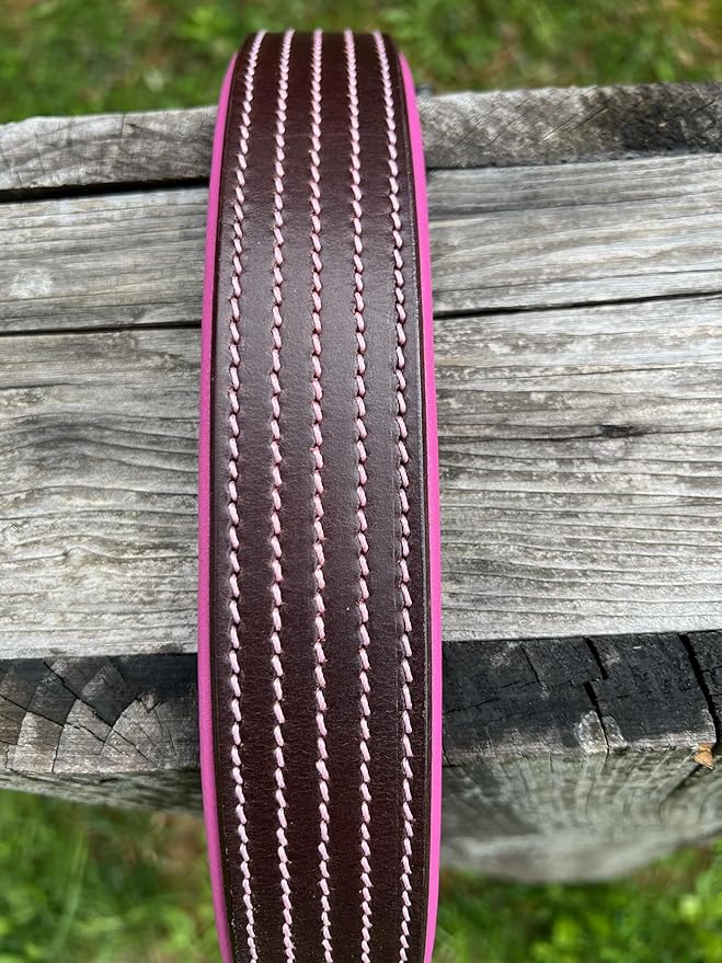 Leaders Leather Dog Collar with Customized Name Plate (Pink/Brown Extra Large (21"-26"))