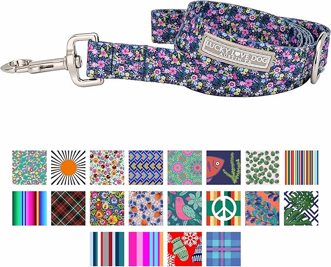 Lucky Love Dog Leash, Beautiful Vivid Patterns, Durable & Long Lasting (Primrose, Small)