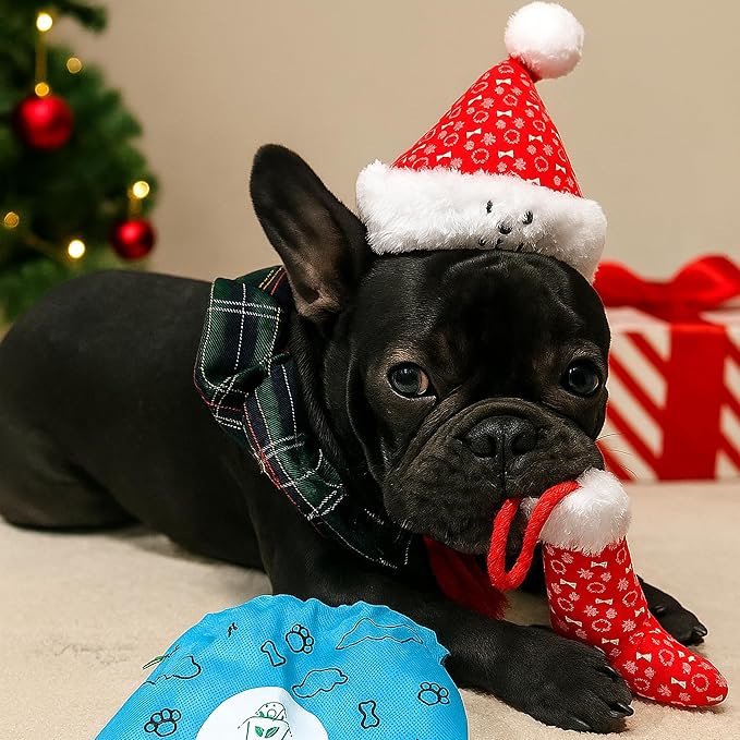Christmas Santa Hat Plush Dog Toy (Small Size), Cute Soft Squeaky X’Mas Gift with Hidden Treat Pocket, Wearable Play Design, Crinkle Sound, Perfect for Small & Medium Dogs