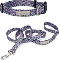 Lucky Love Dog, Matching Dog Collar & Leash Set for Female Dogs, Soft, Adjustable, Safe for Training and Walking, Black & Purple Floral Print, Primrose Combo, X-Small