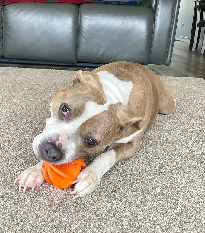 4" Ball, Dog Chew Toy, Boredom Buster That Stimulates Your Dog's Natural Instincts