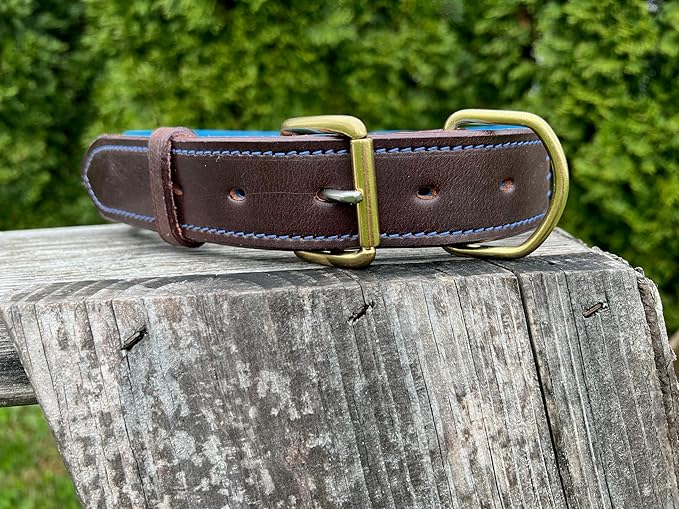 Leaders Leather Dog Collar with Customized Name Plate (Royal Blue/Brown Extra Large (21"-26"))