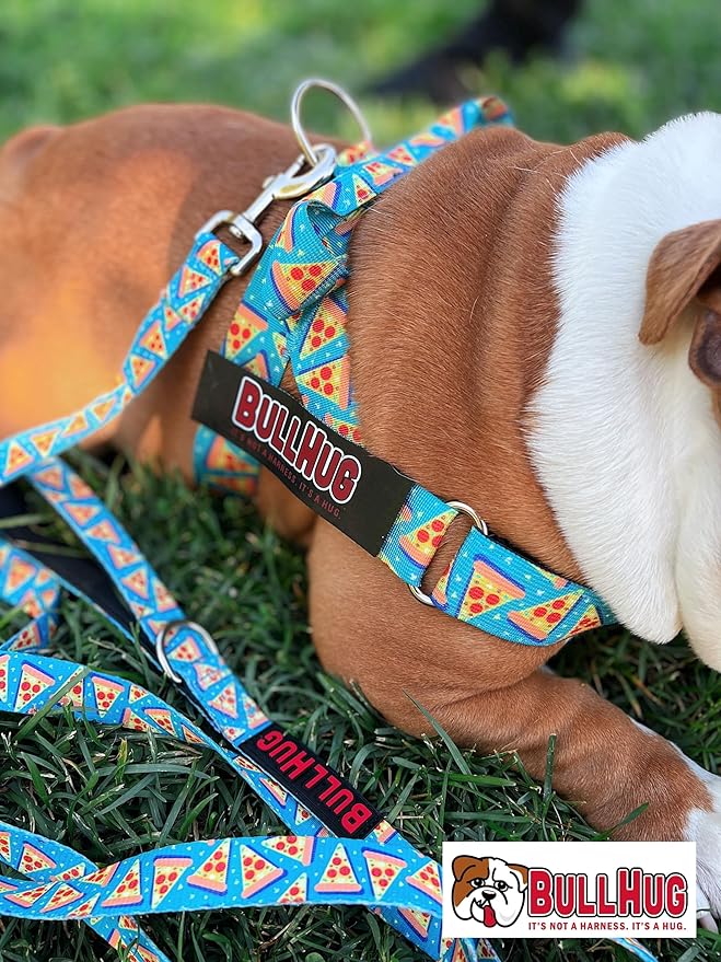 BULLHUG 6 FT Leash With Padded Handle for Bulldogs, French Bulldogs, Pugs & All Breeds - Perfect for Walking, Training Lead (Watermelon)