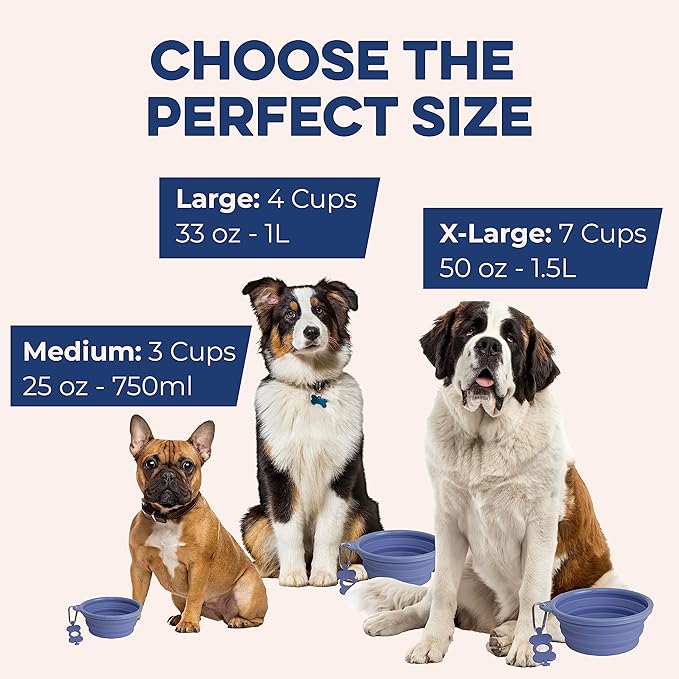 Bonza Collapsible Dog Bowls - Large 33 oz, Dog Travel Accessories, Silicone Portable Dogs Bowl & Water Dish with Reinforced Rim & Carabiner for Hiking, Camping, and Car Trips, Black