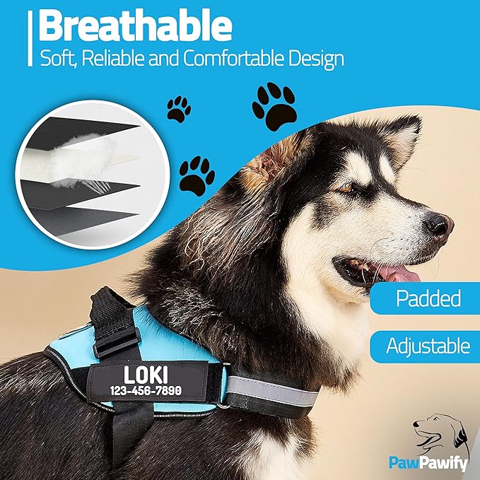 PawPawify Personalized No Pull Dog Harness with 2 Custom Name & Phone Patches, Reflective Breathable Pet Vest for Walking Training, Adjustable Heavy Duty Service Dog Vest for Small Medium Large Dogs