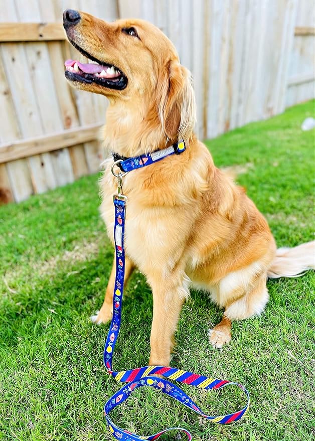 Lucky Love Dog Leash – Soft, Durable, and Comfortable Leash with Vibrant Patterns – Stylish and Long Lasting for Small, Medium, and Large Male and Female Dogs – Mackey, Large