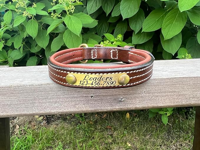 Leaders Leather Dog Collar with Customized Name Plate (Small (10"-12"))