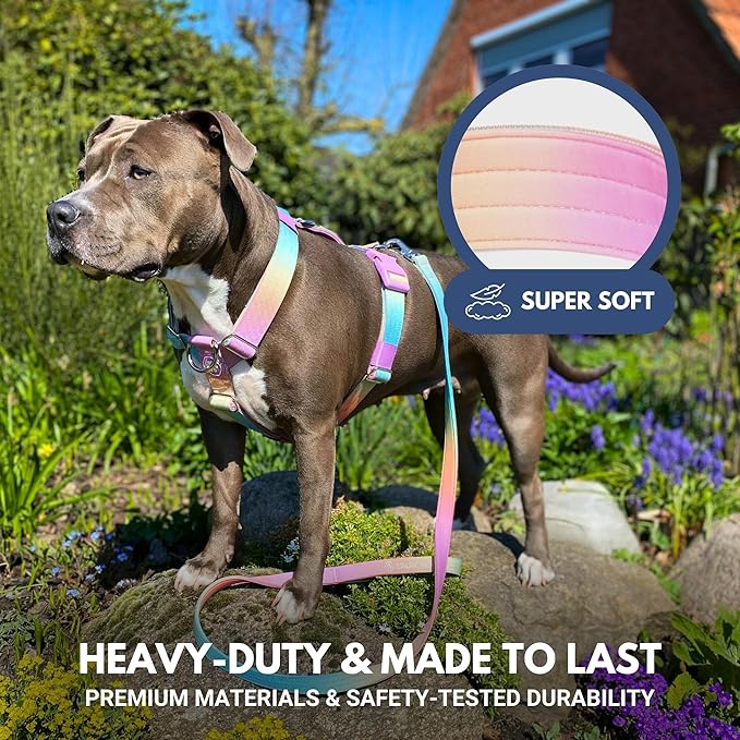 Spark Paws No Pull Dog Harness for Large Dogs, Heavy Duty Dog Harness for Big Strong Breeds, Adjustable, Y Shaped Padded Halter Design with Front Clip - Pastel Icing - L
