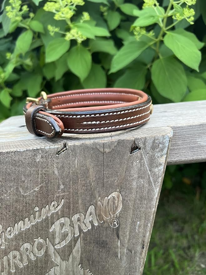 Leaders Leather Dog Collar with Customized Name Plate (Small (10"-12"))
