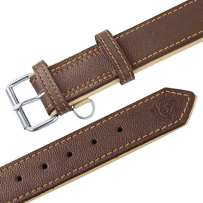 Riparo Dog Collars for Medium Dogs, Genuine Leather Dog Collar, Medium Dog Collar (M: 1" Wide for 13.5”-17.5” Neck, Brown)