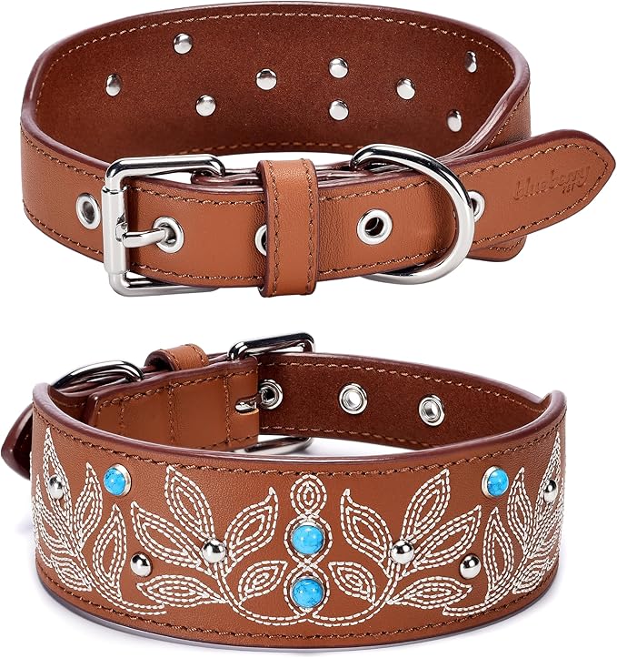 Blueberry Pet Western Dog Collar in Canyon Brown - 15-18 Inch Necks Floral-Embroidered Leather with Turquoise Studs, Dog Collars for Medium Dogs, Adjustable Leather Girl Dog Collar