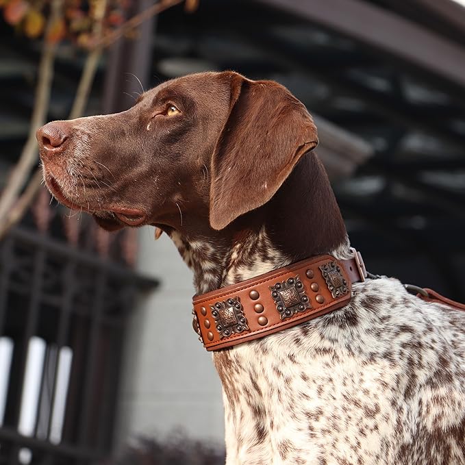 PET ARTIST Genuine Leather Dog Collar for Large Dogs, 2 inch Wide Dog Collar Leather with Rivet Studded & Metal Buckle, Soft Padded & Hand Made for Great Dane Rottweiler,Brown,Neck 22-25"